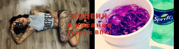 индика Беломорск