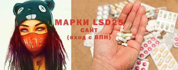 индика Беломорск