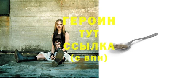 индика Беломорск