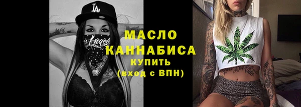 индика Беломорск