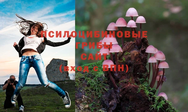 прущий лед Белоозёрский