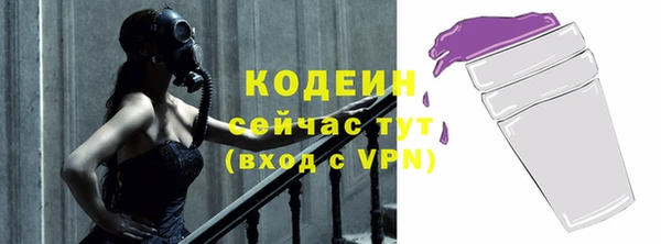 индика Беломорск