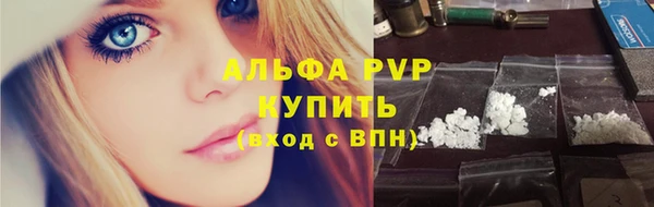 индика Беломорск
