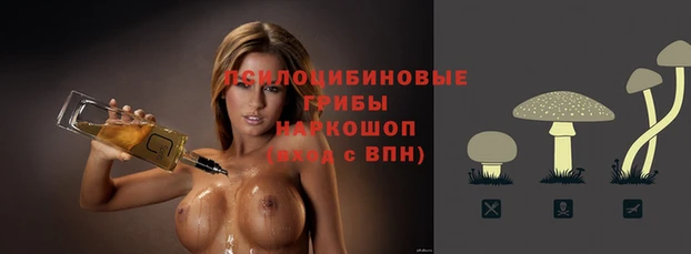 индика Беломорск