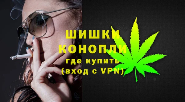 индика Беломорск