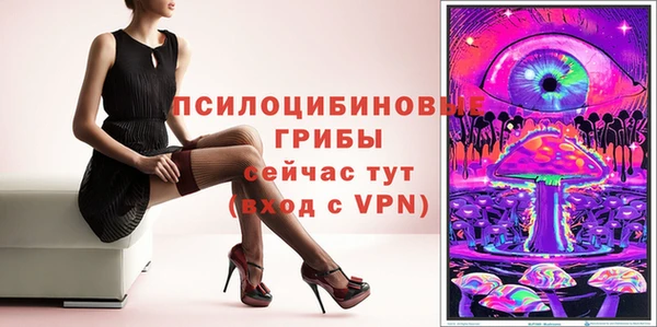 индика Беломорск