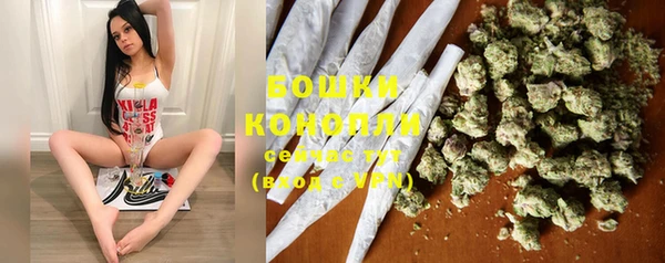 круглые Белокуриха