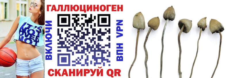 Галлюциногенные грибы ЛСД  Мглин 
